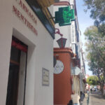 Farmacia Mentidero