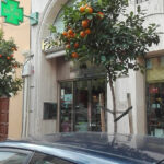 Farmacia Gutiérrez García