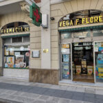 Farmacia Blasco Vega
