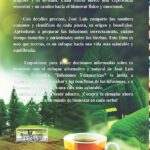 Beneficios de las infusiones para la salud y bienestar