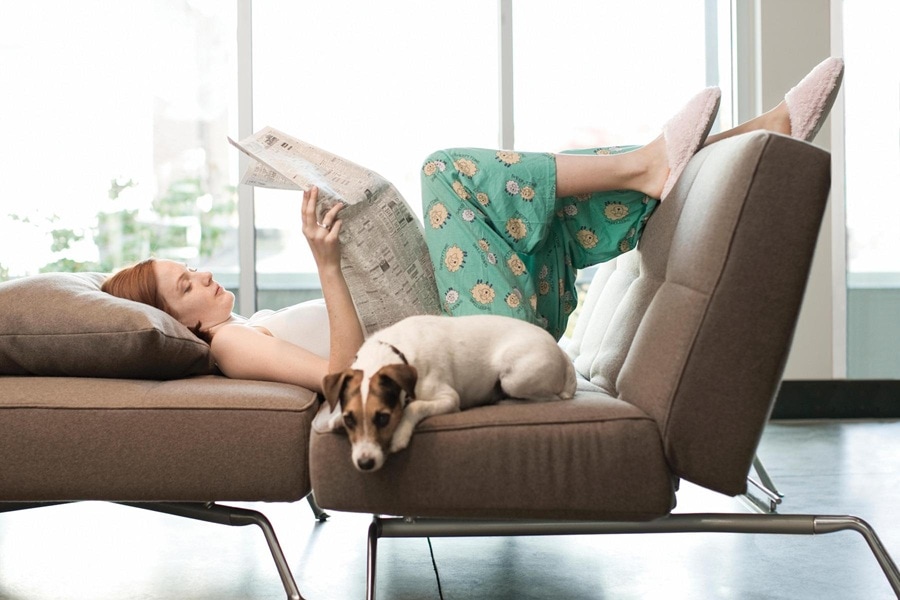 Cómo puedo disfrutar de un día de relajación en casa