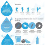 Cuáles son los efectos de la deshidratación en la salud