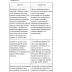 Cuáles son los pros y contras de los alimentos transgénicos