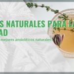 Los 5 mejores ansiolíticos naturales para la ansiedad
