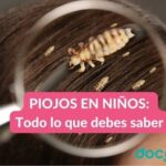 Piojos en niños: consecuencias y soluciones eficaces