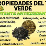 Propiedades y beneficios del té verde: Una guía completa