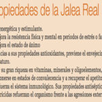 Qué beneficios tiene la jalea real para la salud femenina